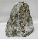 Korallenjaspis